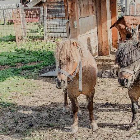 Arnoldgut Alojamento de Turismo Rural *