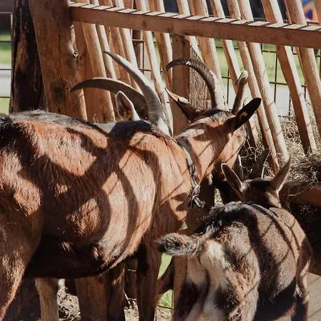 Feriegård Arnoldgut *