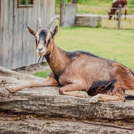 Arnoldgut Feriegård Altenmarkt im Pongau